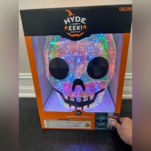 Hyde and EEK! 16" Narrow Iridescent Skull 3D Novelty
Modular Light Structure